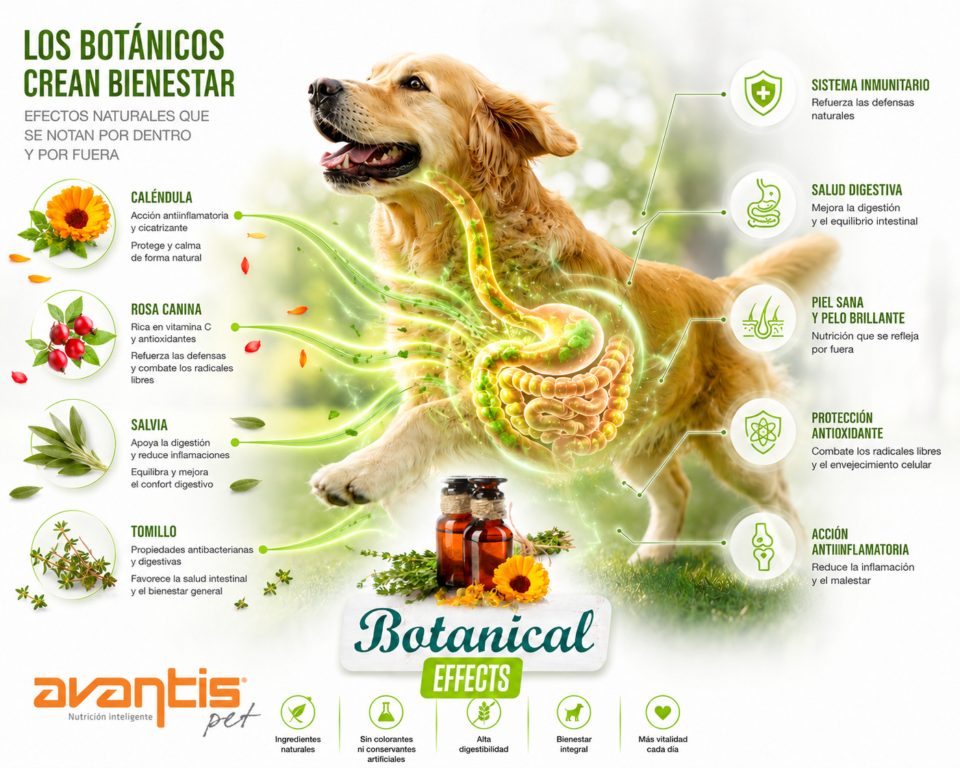 Botanical Effects · los botánicos crean bienestar