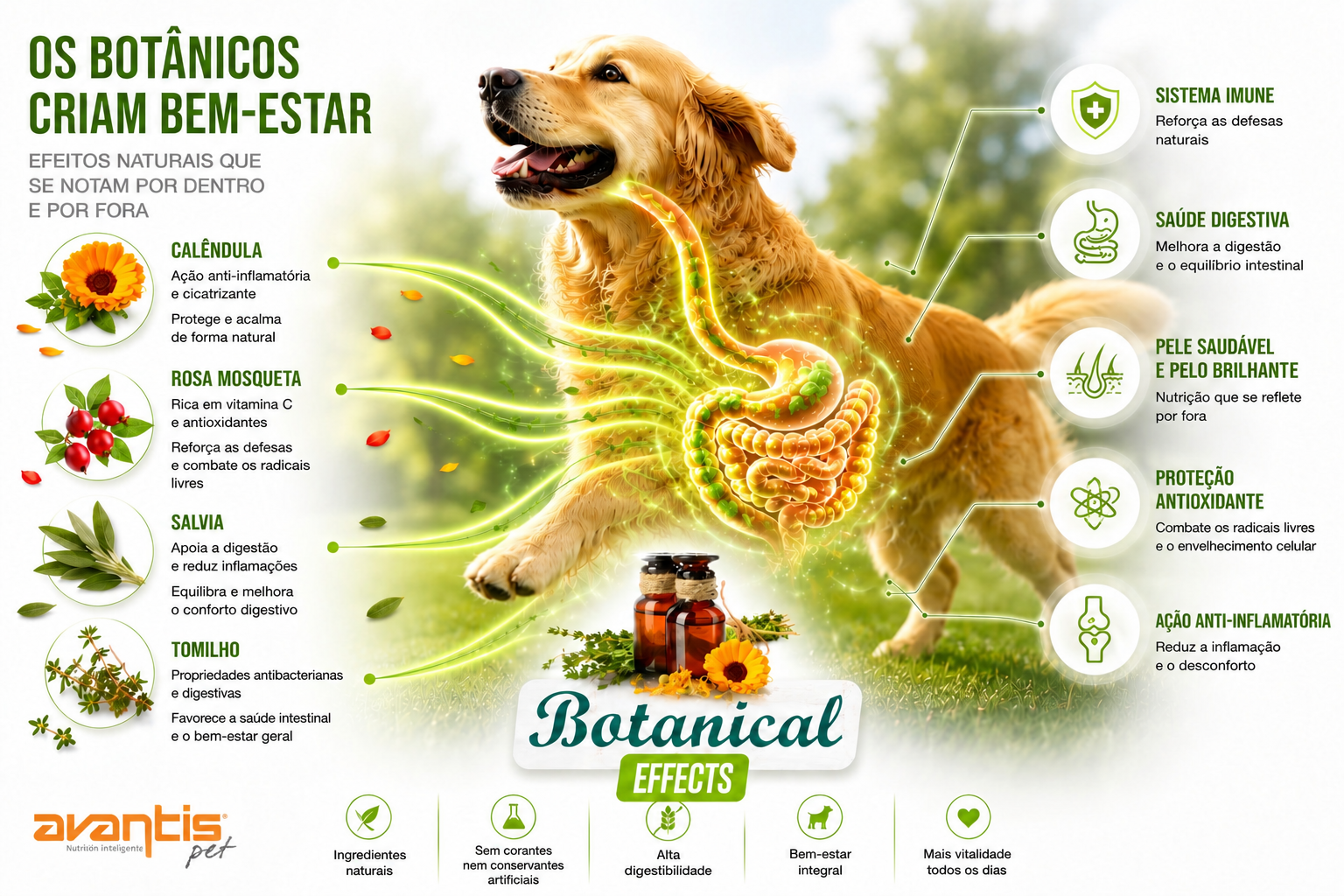Botanical Effects · los botánicos crean bienestar